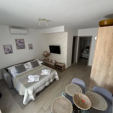 Apartment Onavi *